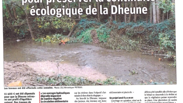 Un ancien déversoir arasé pour préserver la continuité écologique de la Dheune