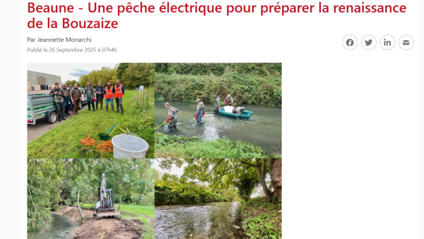 Une pêche électrique pour continuer la restauration de la Bouzaise