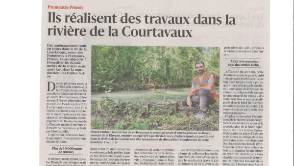 Prémeaux-prissey, travaux sur la Courtavaux