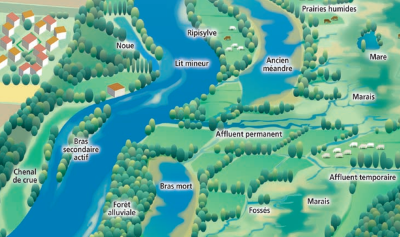 Reconnexion au lit majeur