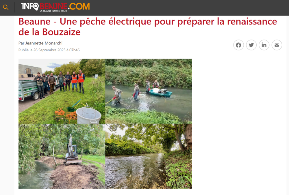 Une pêche électrique pour continuer la restauration de la Bouzaise